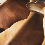 Beef Chips - Classic Pepper